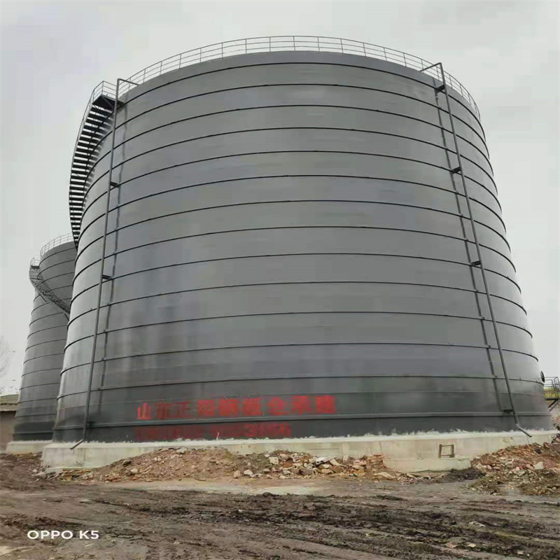 黄竹镇3万吨大型钢板库